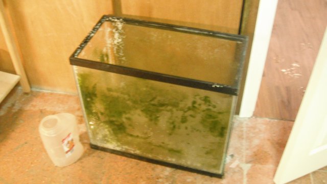 DSCF0603.JPG