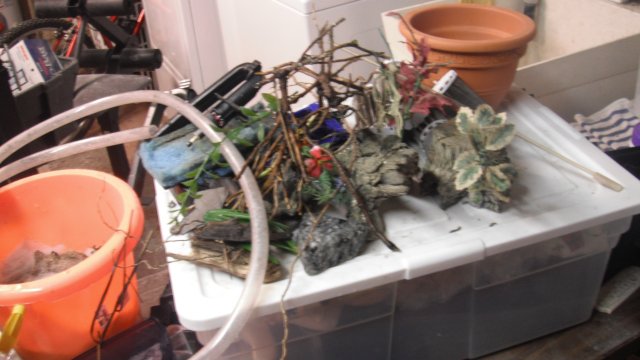 DSCF0586.JPG DSCF0586.JPG