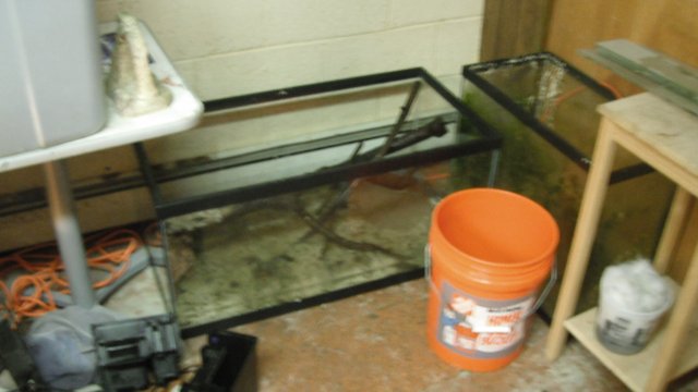 DSCF0580.JPG