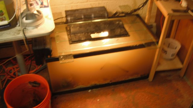 DSCF0596.JPG DSCF0596.JPG