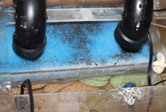 Drain into sump.jpg