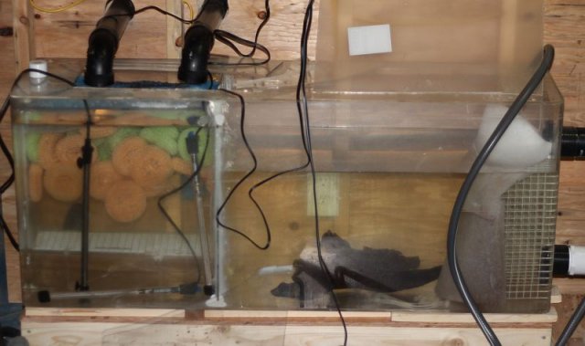The Whole Sump.jpg