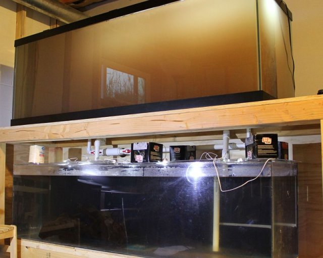 Rinsing Flourite 05.jpg