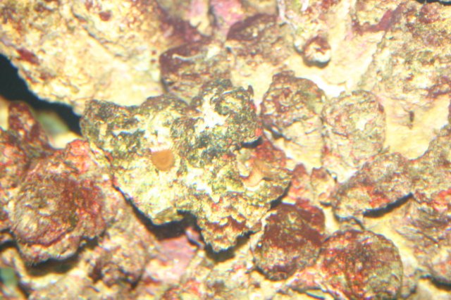 IMG_8627.JPG