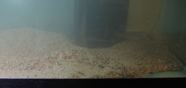Flourite settling out.jpg