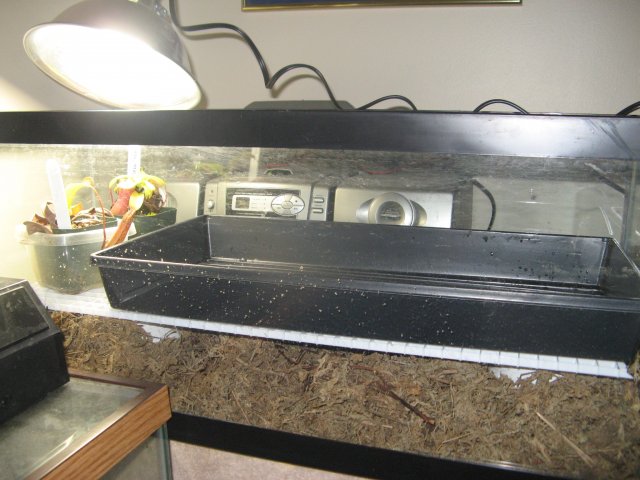 IMG_2657.JPG
