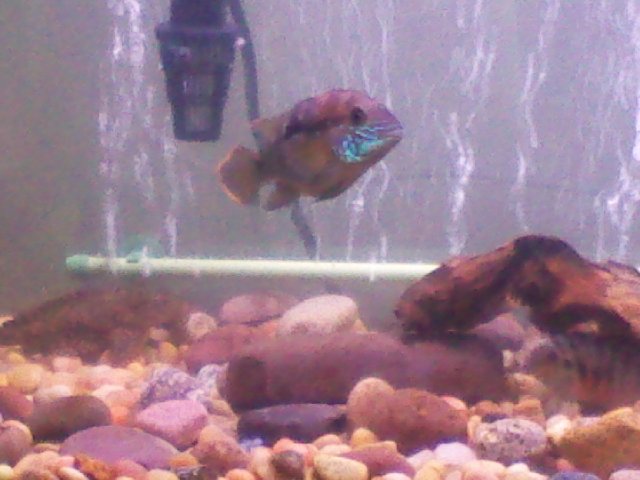 2011-04-29 11.47.17.jpg