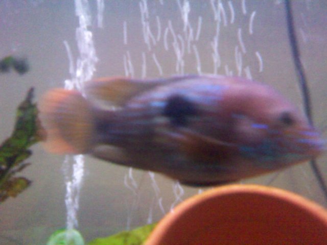 2011-07-05 21.24.35.jpg