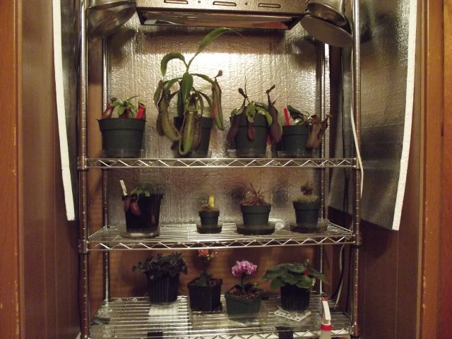 new rack.JPG