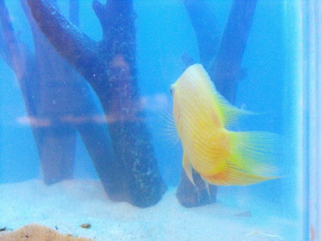 DSCF0040.JPG