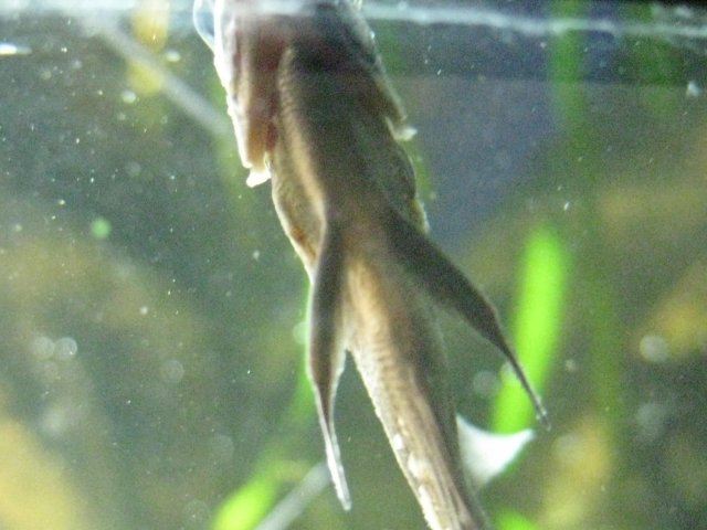 IMG_0089.JPG