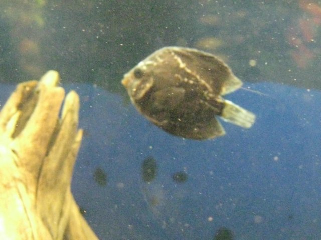 IMG_0084.JPG