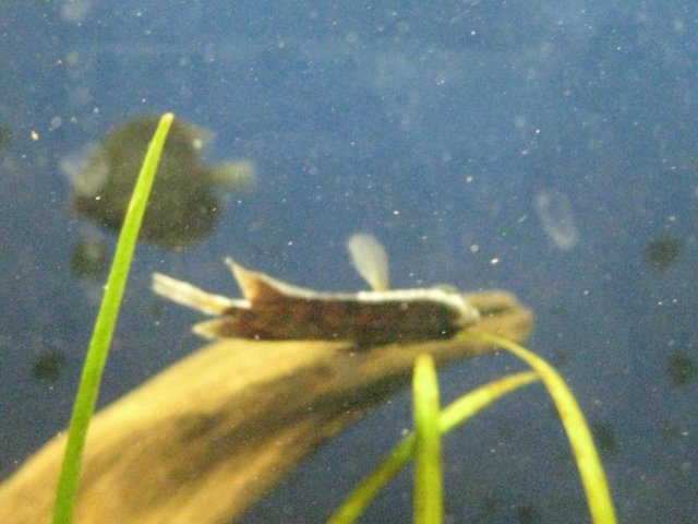 IMG_0083.JPG