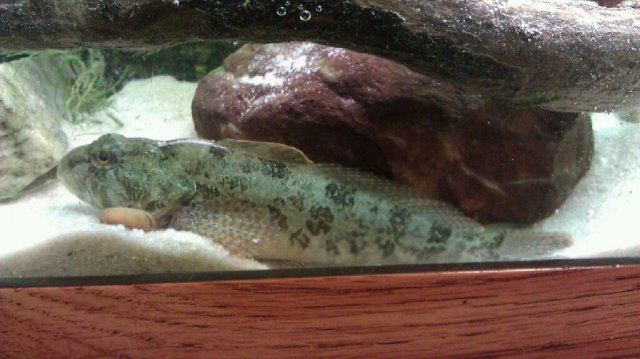 IMAG0022_1310942182068.jpg