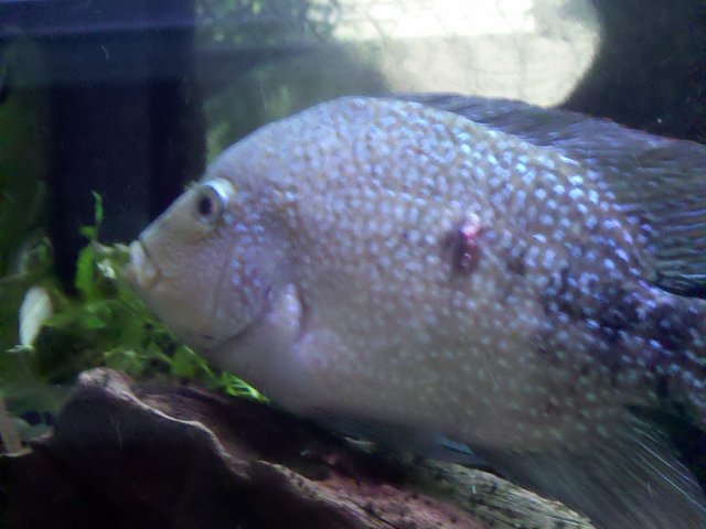 IMG_20110719_113313.jpg