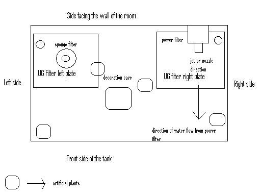 setup.JPG