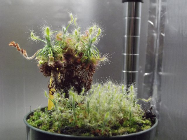 DSCF1208.JPG
