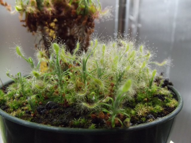 DSCF1209.JPG
