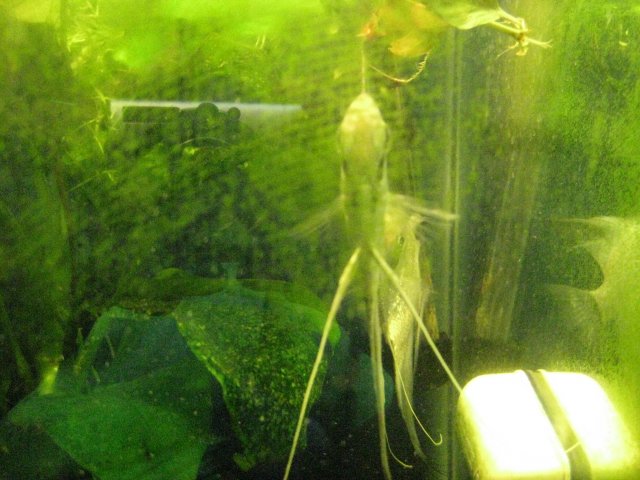IMG_0156.JPG