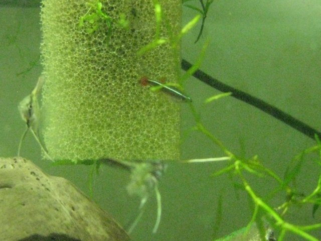 IMG_0129.JPG