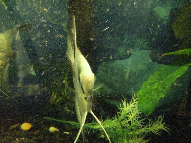 IMG_0147.JPG