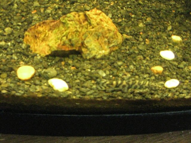 IMG_0120.JPG