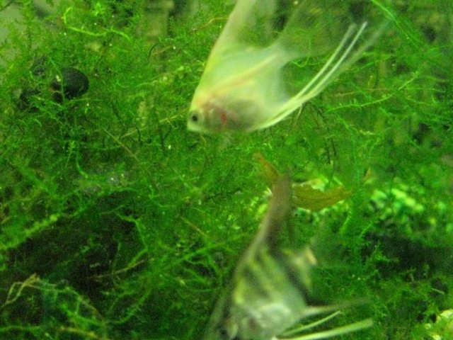 IMG_0130.JPG