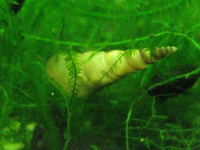 IMG_0131.JPG