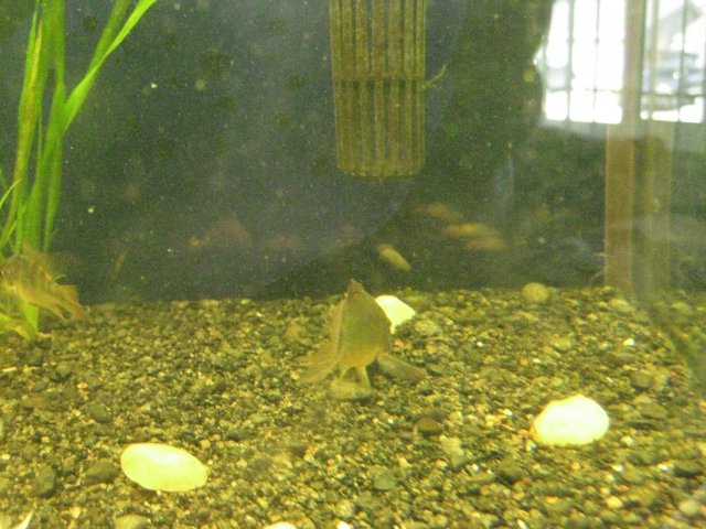 IMG_0116.JPG