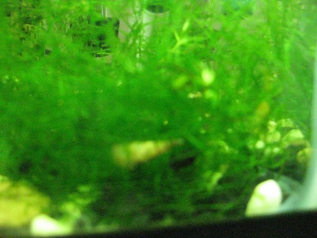 IMG_0126.JPG
