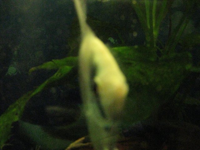 IMG_0152.JPG