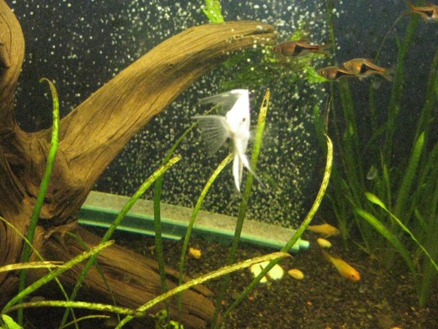 IMG_0110.JPG
