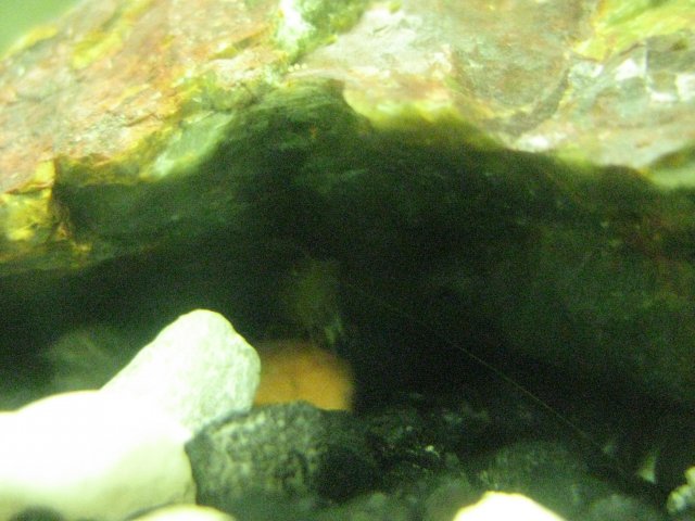 IMG_0142.JPG