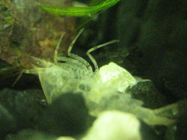 IMG_0132.JPG