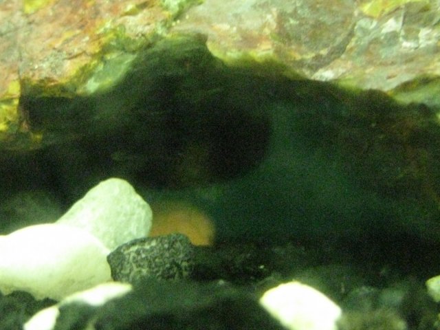 IMG_0141.JPG