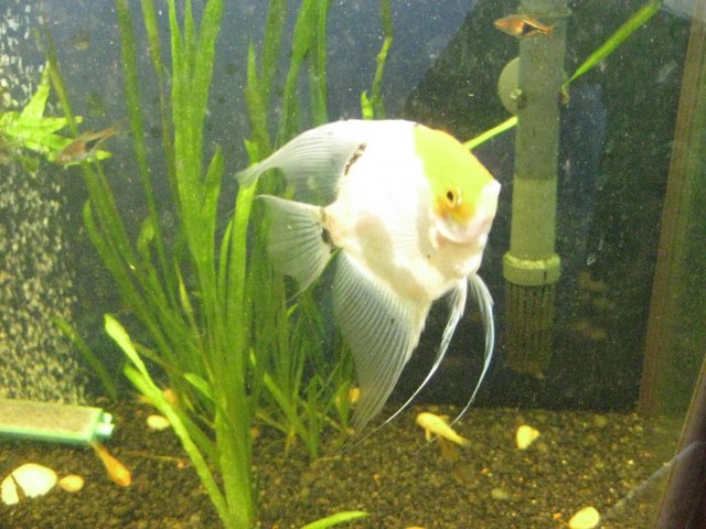 IMG_0111.JPG