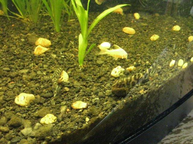 IMG_0119.JPG