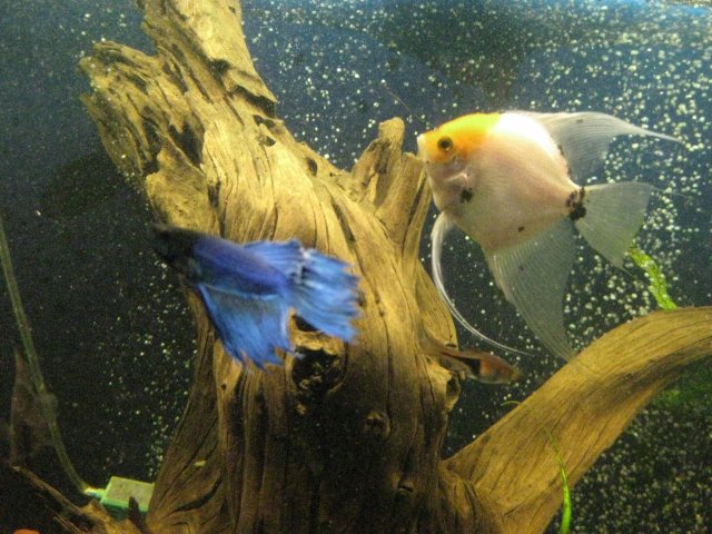 IMG_0112.JPG