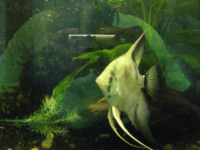IMG_0153.JPG