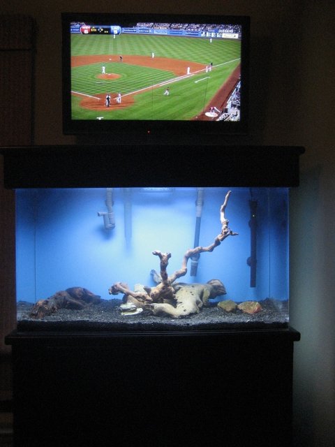 tank2.jpg