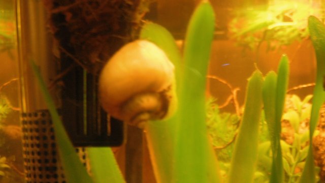 DSCF0746.JPG