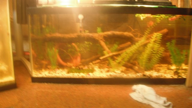 DSCF0710.JPG