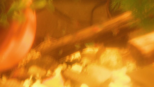 DSCF0738.JPG