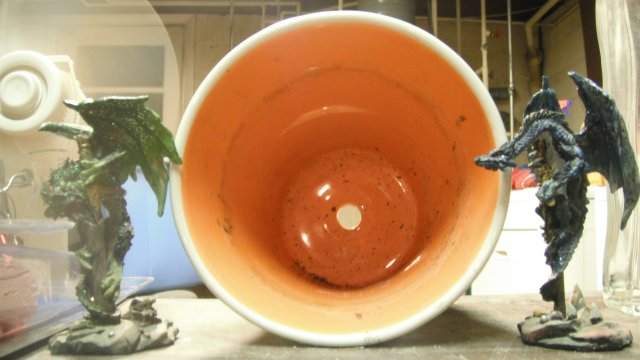 DSCF0817.JPG