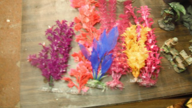 DSCF0830.JPG