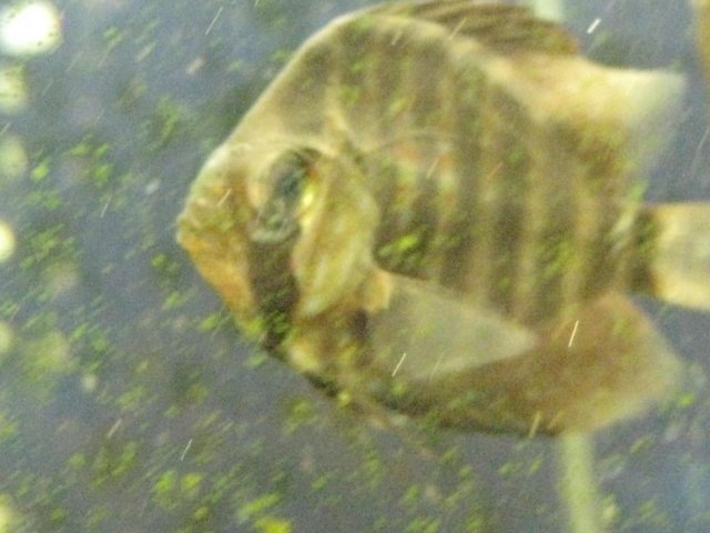 IMG_0214.JPG