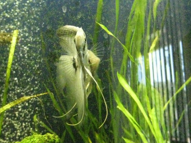 IMG_0219.JPG