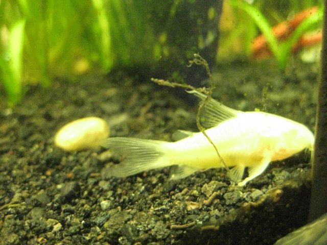 IMG_0228.JPG