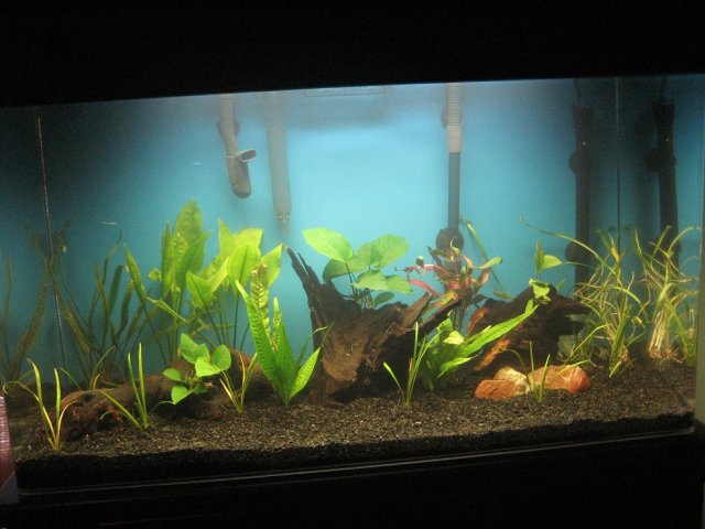 tank1.jpg