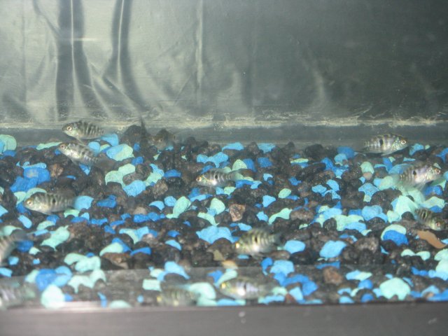 Keeper6.JPG Keeper6.JPG